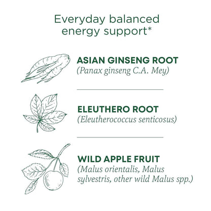 Traditional Medicinals Stress Ease Focus Tea – Clean-Label Adaptogen Blend for the Intentional Pantry, 16 Bags