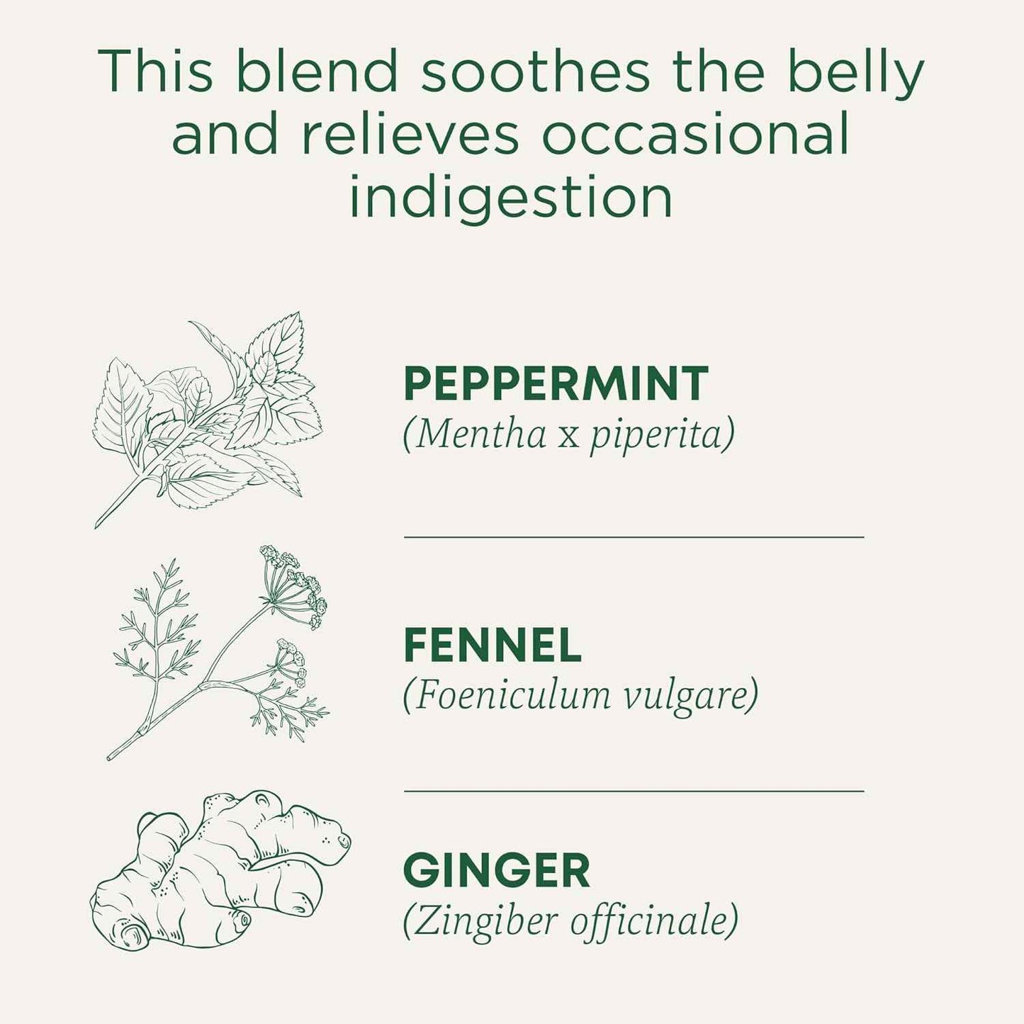Traditional Medicinals Organic Belly Comfort Peppermint Tea – Afternoon Desk Brew to Replace Coffee and Beat the Slump