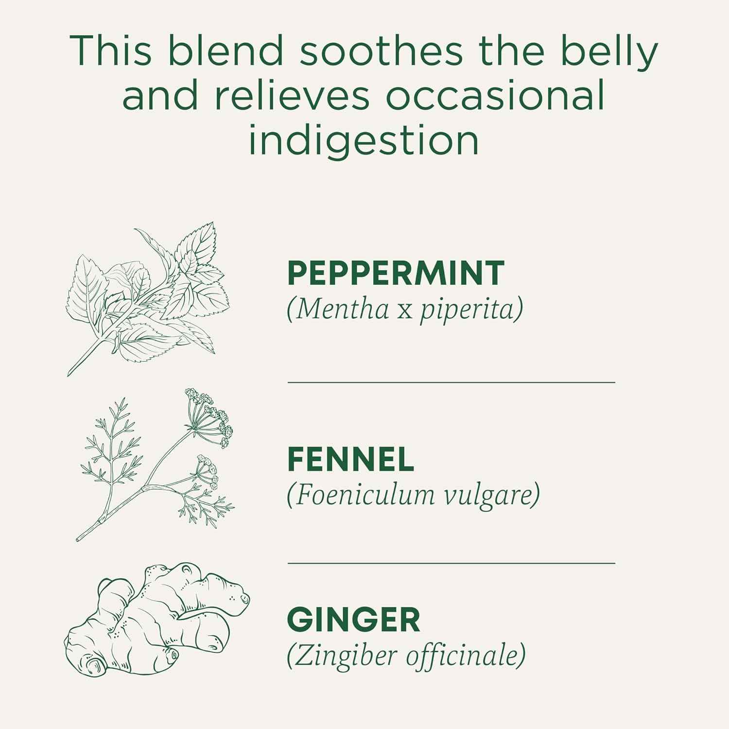 Traditional Medicinals Organic Belly Comfort Peppermint Tea – Afternoon Desk Brew to Replace Coffee and Beat the Slump
