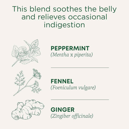 Traditional Medicinals Organic Belly Comfort Peppermint Tea – Afternoon Desk Brew to Replace Coffee and Beat the Slump
