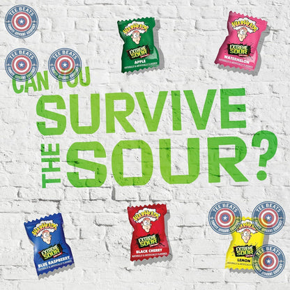 WARHEADS Extreme Sour Hard Candy Five Flavor Assortment 2 oz Bag Care Package Snack for Teens and College Students