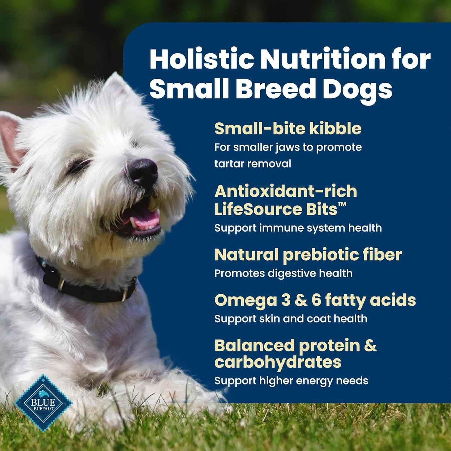 Blue Buffalo Life Protection Small Breed Adult – Premium Welcome Gift for First-Time Dog Owners Transitioning from Puppy Food