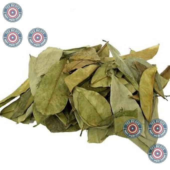 Guanábana Hojas Soursop Leaf Tea – Calming Caffeine-Free Herbal Infusion for Evening Wind-Down Rituals