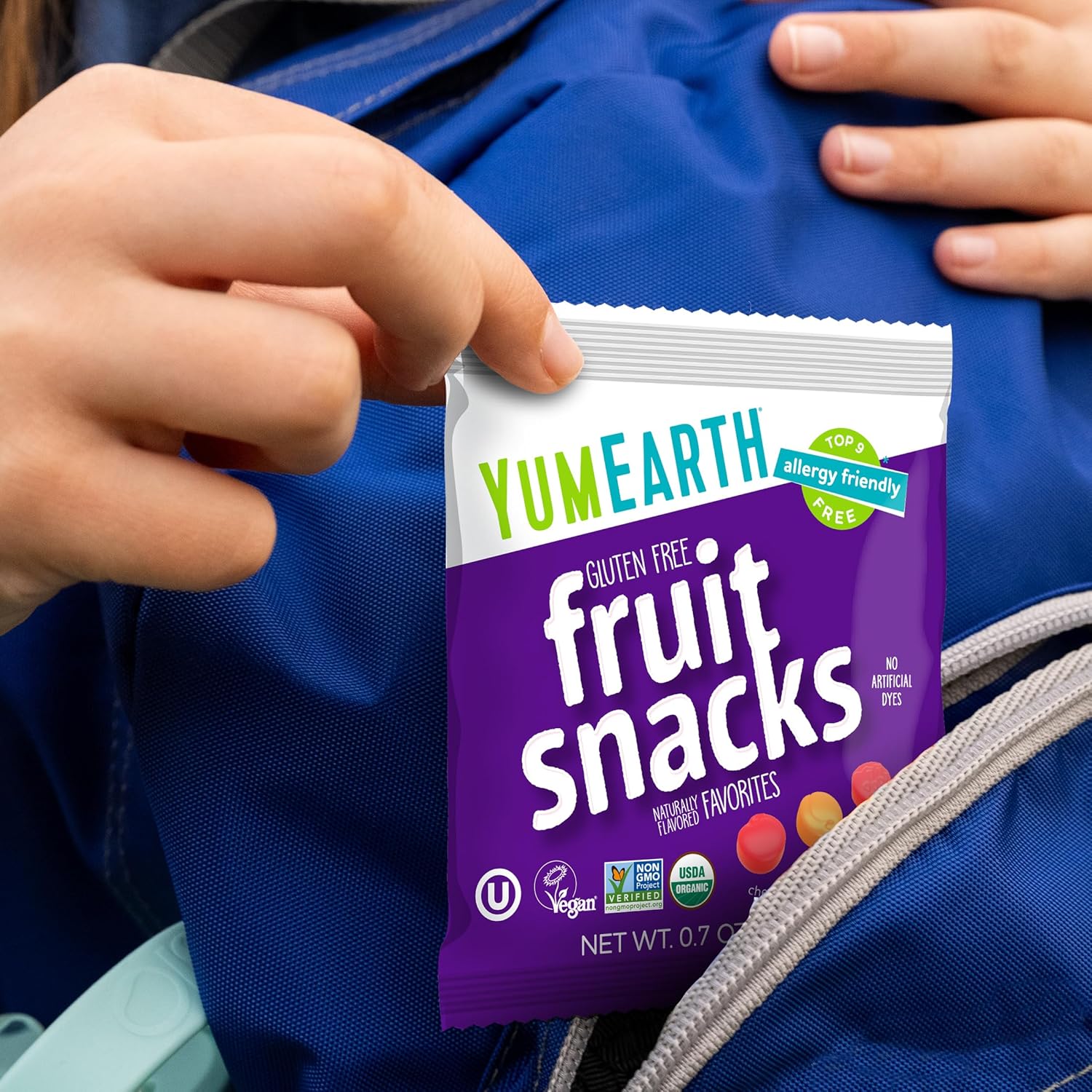 YumEarth Organic Fruit Snacks – Portable Hiking and Backpacking Snack for Allergy Sensitive Families