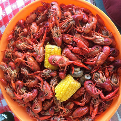 Zatarain's Crawfish, Shrimp & Crab Boil 4.5 lb – Housewarming and Birthday Gift for the Home Cook Who Hosts
