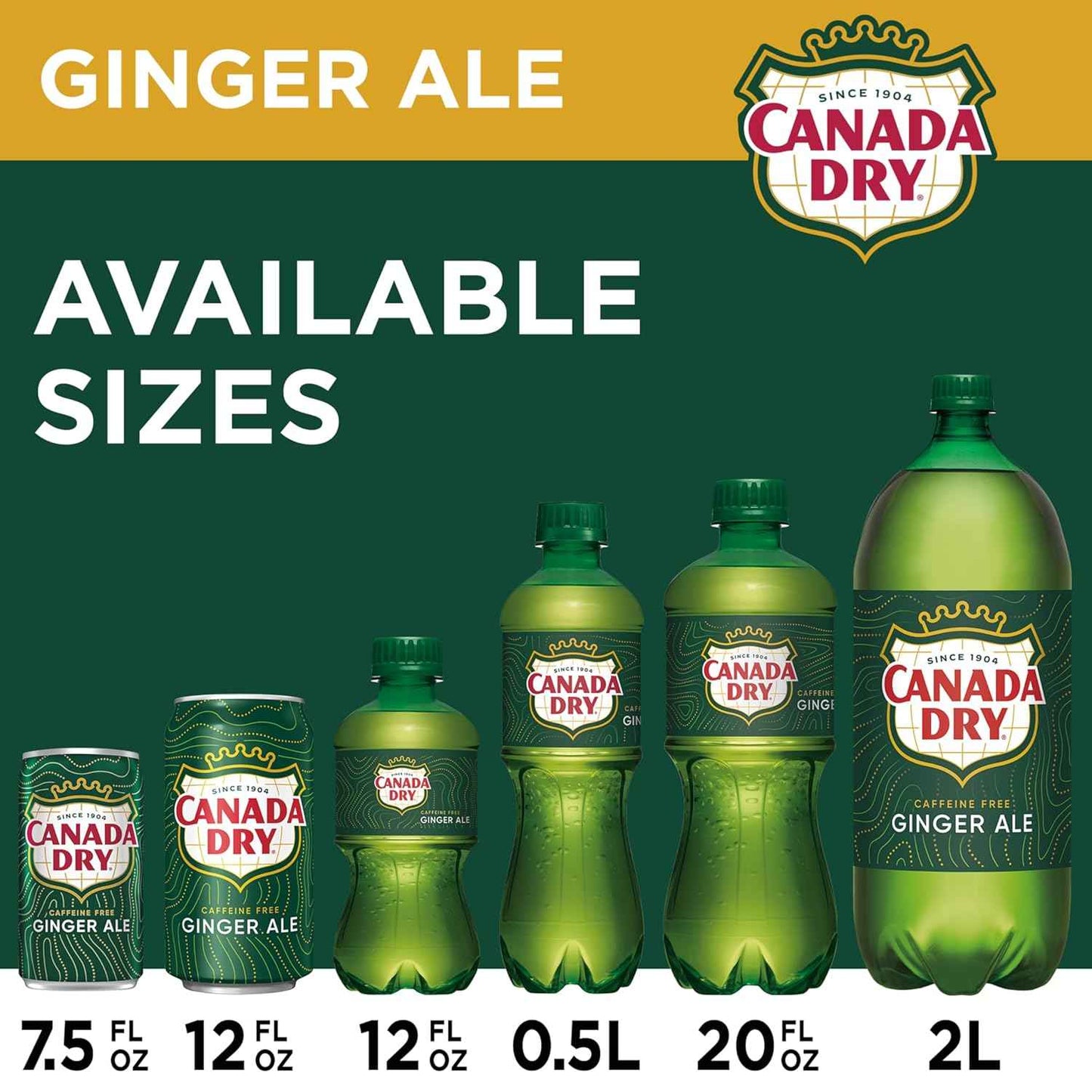 Canada Dry Ginger Ale Soda – Family Movie Night Soda, Caffeine-Free 12 fl oz Cans 24 Pack